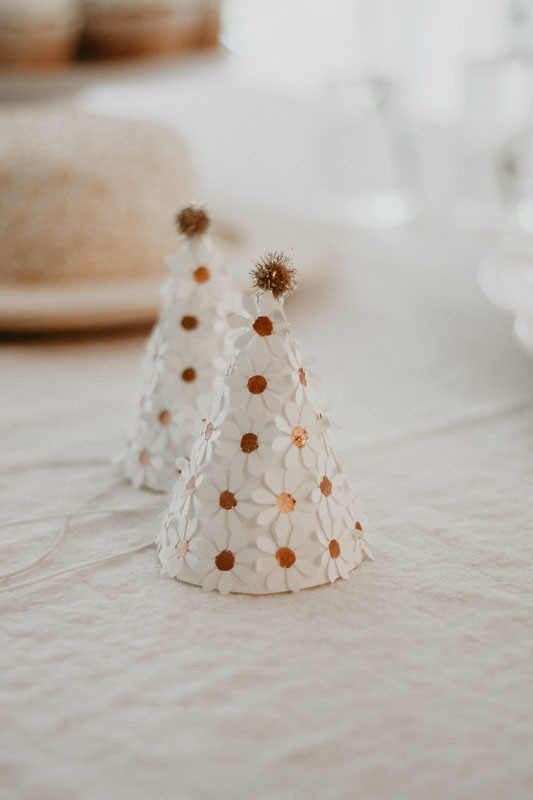 Daisy party hats