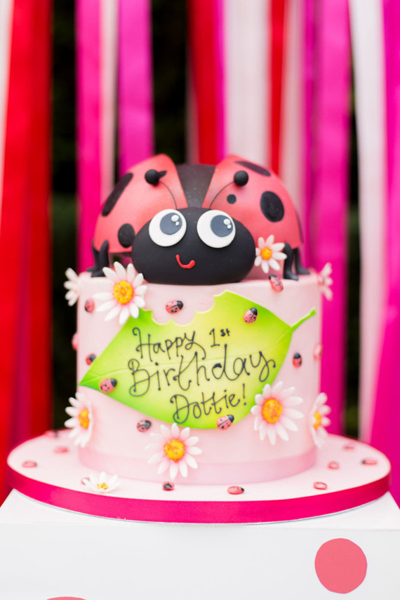 Ladybug themed girls 1st birthday
