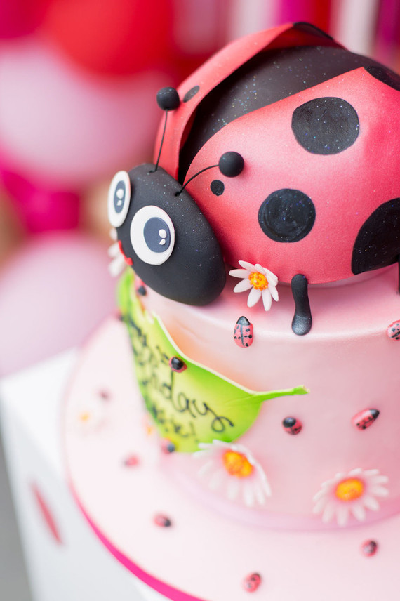 Ladybug themed girls 1st birthday Inspiration