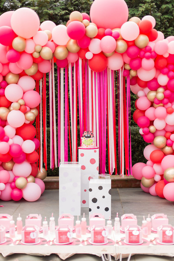 Ladybug themed girls 1st birthday Inspiration