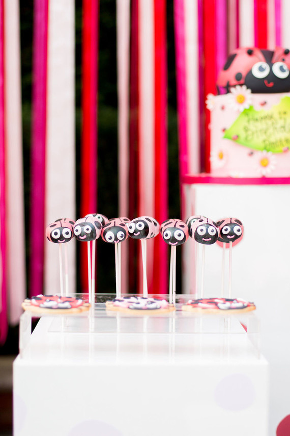 Ladybug themed girls 1st birthday Inspiration