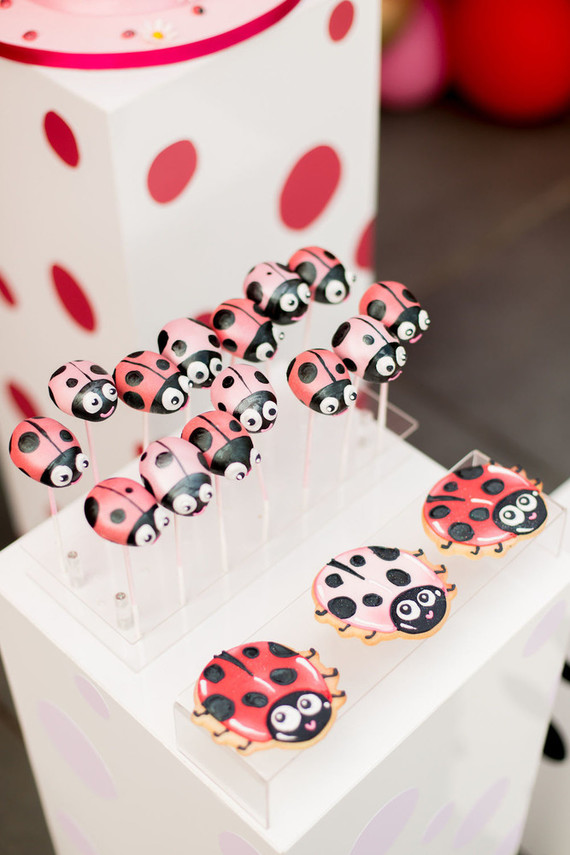 Ladybug themed girls 1st birthday Inspiration