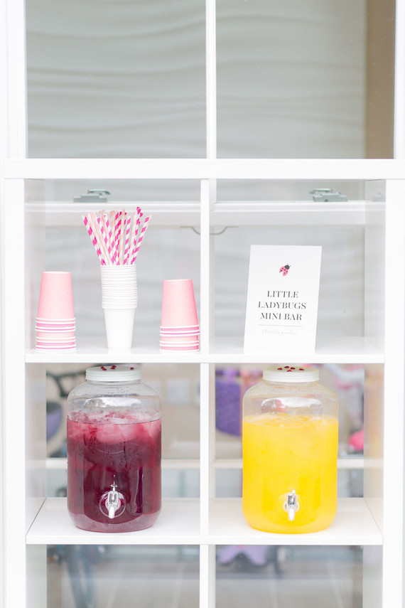 Ladybug themed girls 1st birthday Inspiration