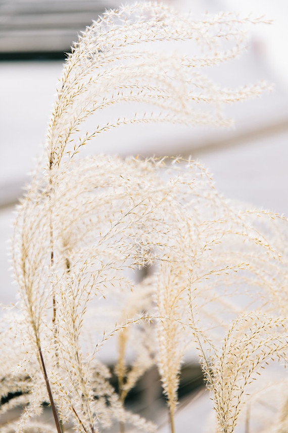 A wintery library wedding with the most magical reception / George Peabody Library