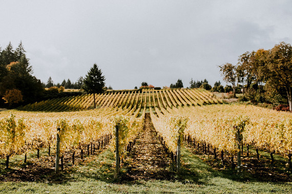 Wedding at Methven Family Vineyards