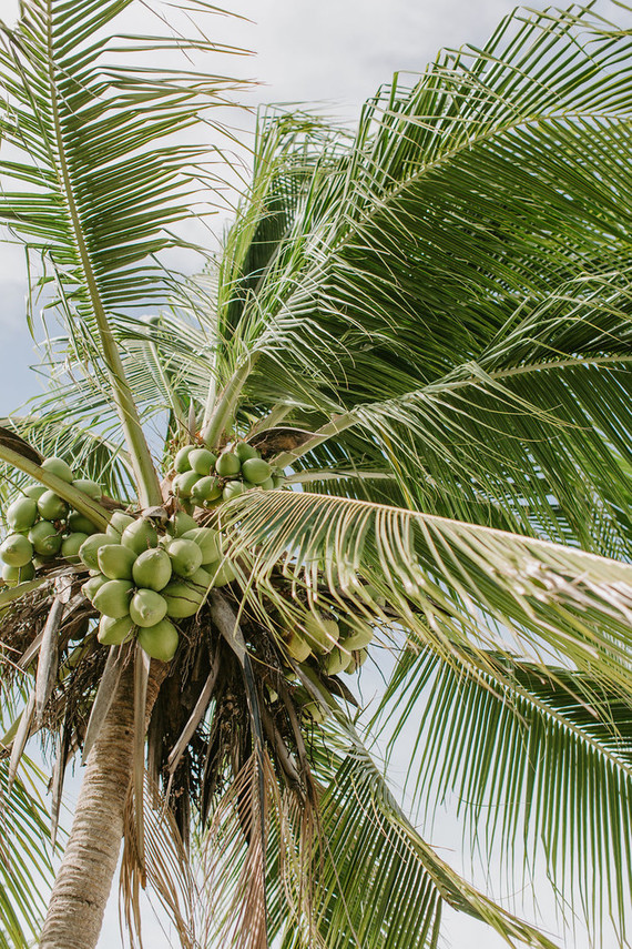 Where to get married in Costa Rica Inspiration