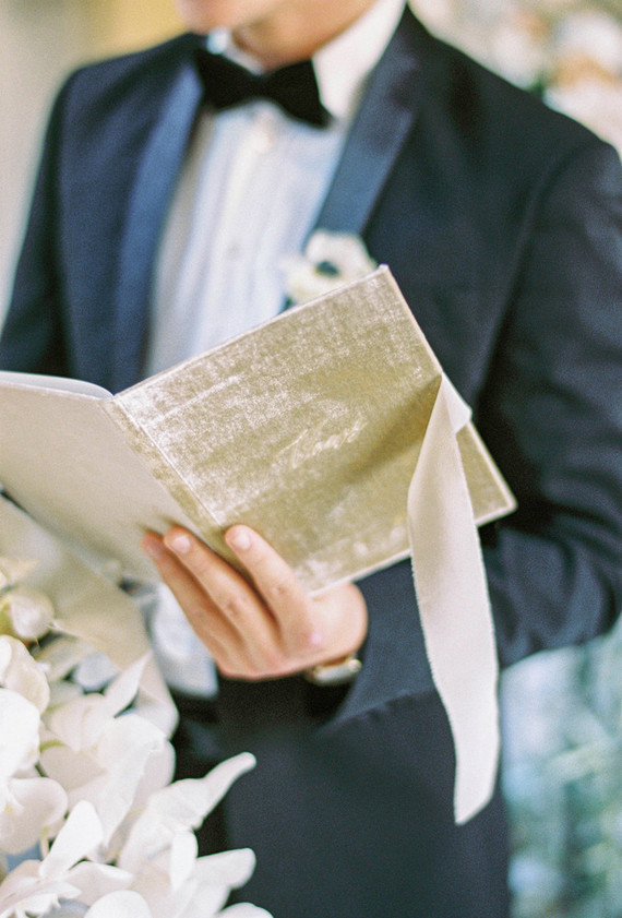 velvet vow book