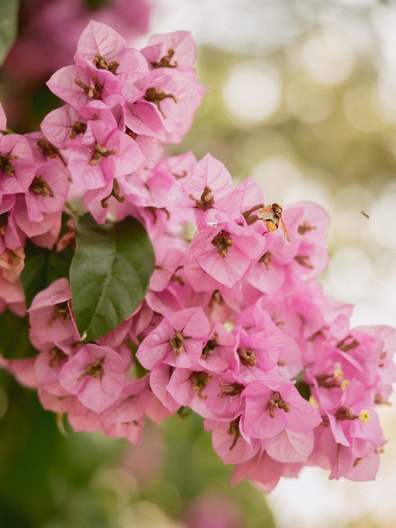 destination wedding at Isola del Garda in Italy