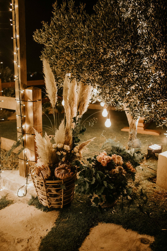 protea and pampas grass