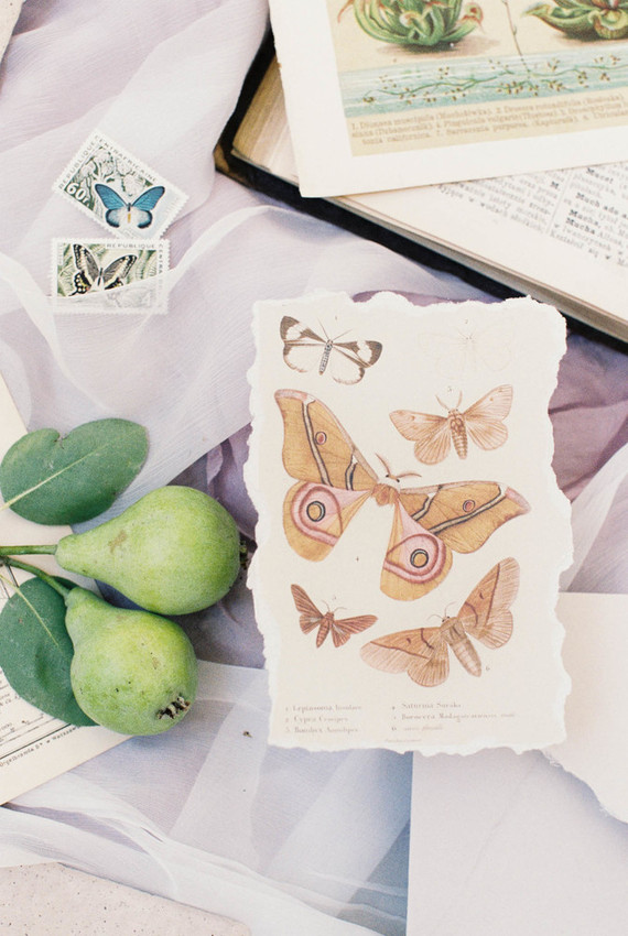 butterfly themed wedding suite