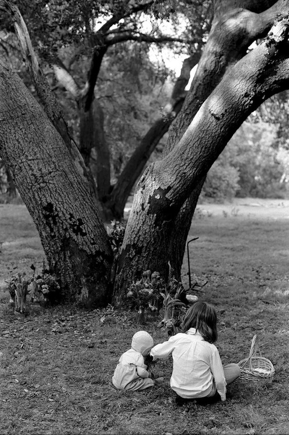Sweet southern California family elopement at a park