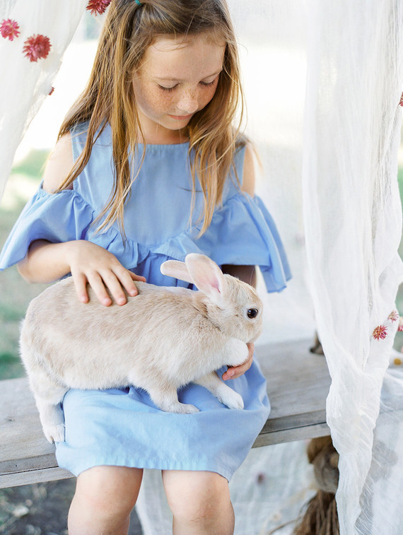 petting zoo for baby shower
