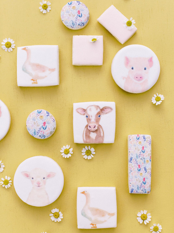 Charlotte's Web themed spring baby shower cookies