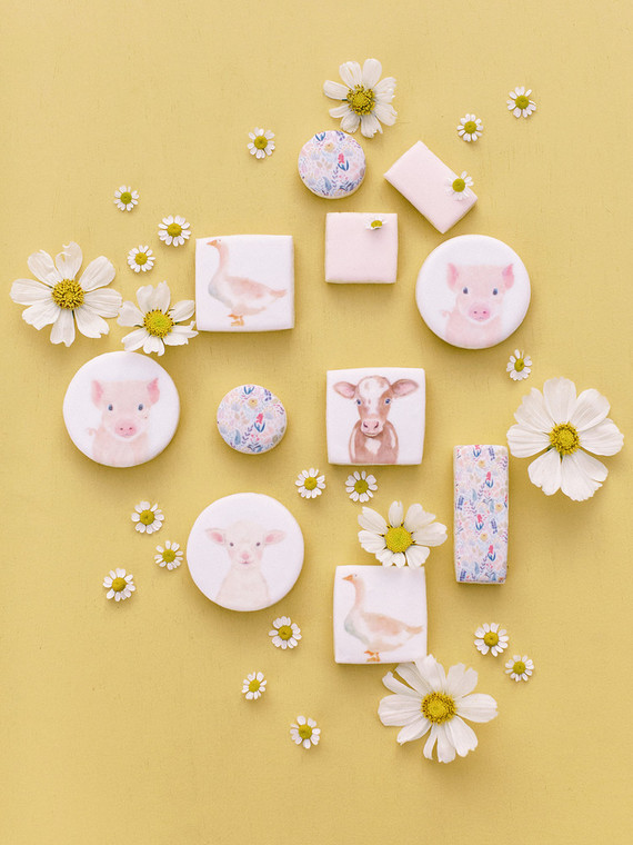 Charlotte's Web themed spring baby shower cookies