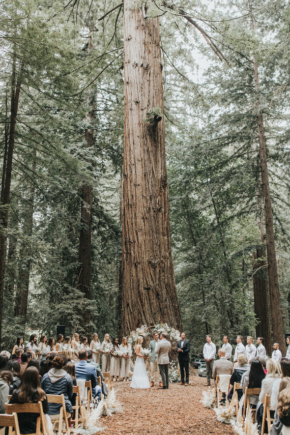 Redwood ceremony