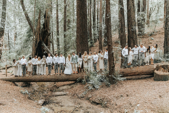 Redwood wedding