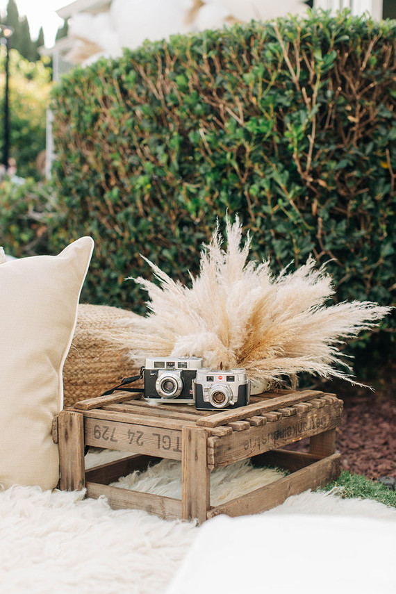 Backyard movie night