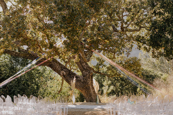 butterfly themed wedding in Carmel Valley