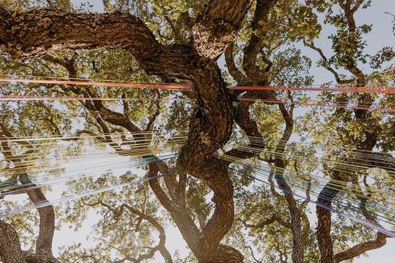 butterfly themed wedding in Carmel Valley