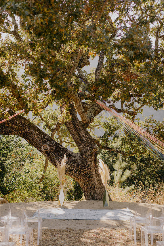 butterfly themed wedding in Carmel Valley
