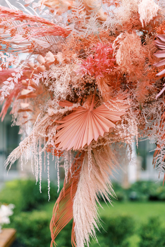 Pink pampas grass