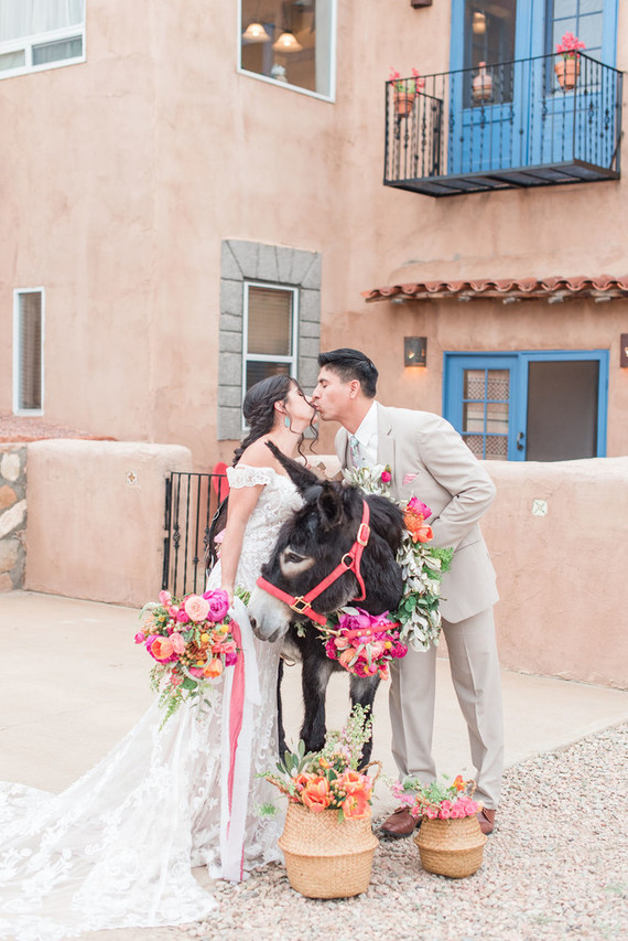 Wedding donkey's