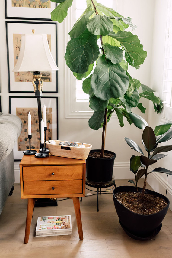 Fall home decor Inspiration