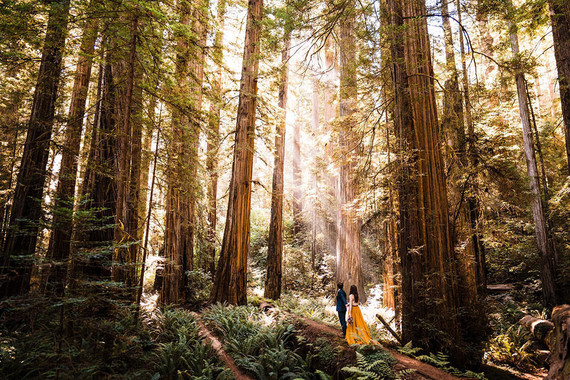forest elopement Inspiration