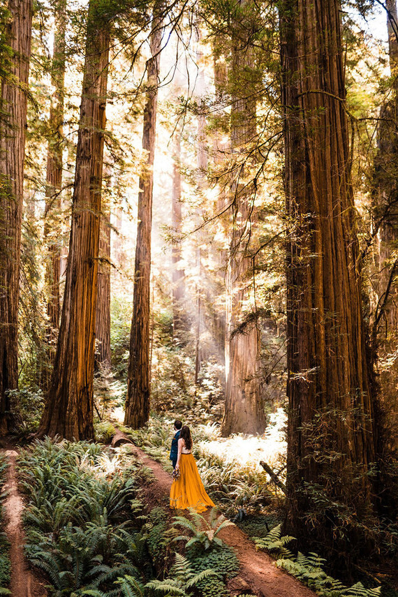 forest elopement