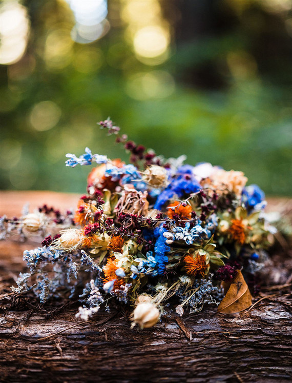 forest elopement