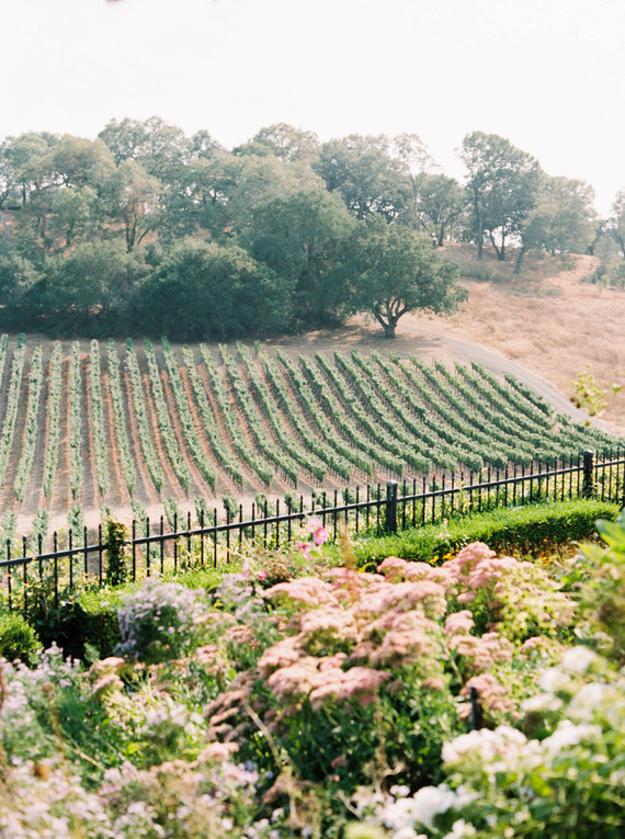 Napa Valley wedding