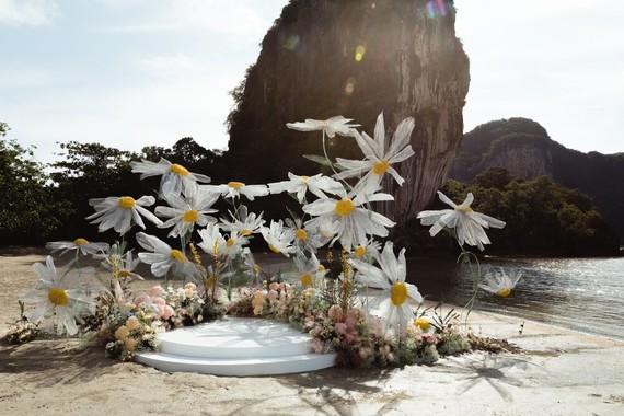 Daisy wedding in Thailand