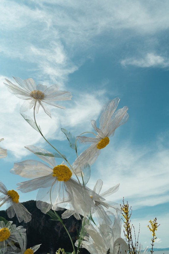 Daisy wedding in Thailand Inspiration