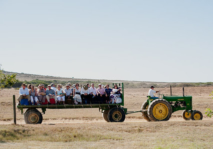 Farm Wedding Tractor Portrait