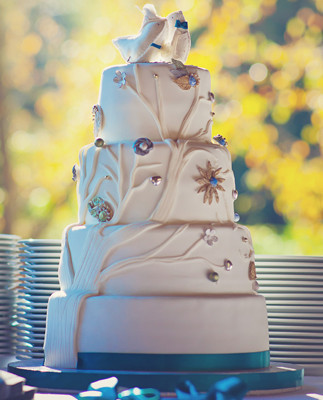 Beautiful contoured cake with bird toppers