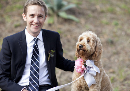 Groom with cute dressed up dog