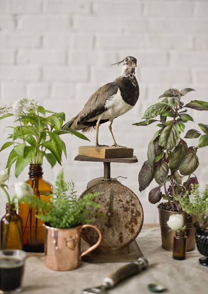 Farm-to-Table Reception Decor