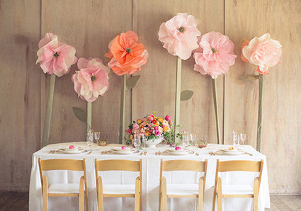 Giant Tissue Poppy Flowers