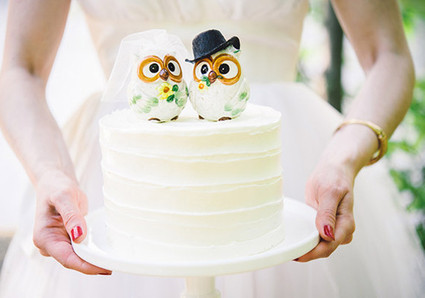 White Icing Cake with Painted Owl Cake Toppers
