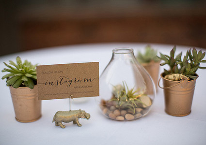 Succulent and Terrarium Instagram Sign Table