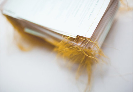 Angi Welsch Wedding Inspiration