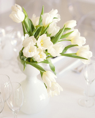 welovepictures Wedding Inspiration
