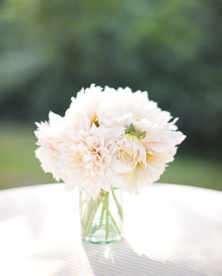dahlia bouquet
