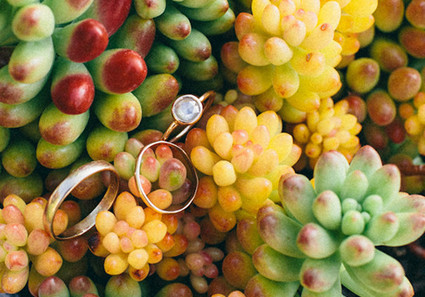 wedding rings