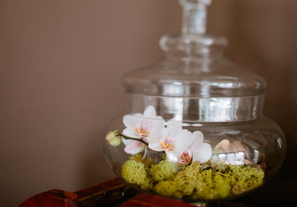 Bird Dog Wedding Wedding Inspiration