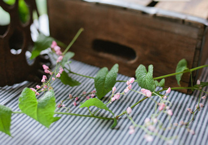 Bird Dog Wedding Wedding Inspiration