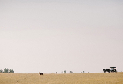 Tyler and Katie Branch Wedding Inspiration