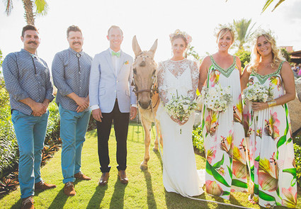 the Cana Family Wedding Inspiration