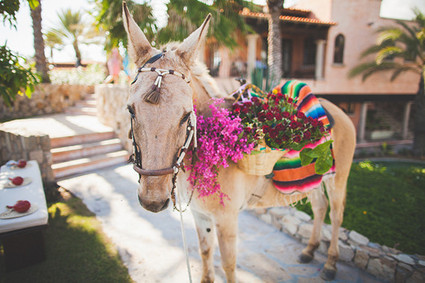 the Cana Family Wedding Inspiration