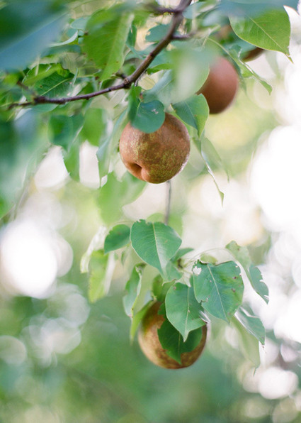 Vintage Mexican Fiesta Inspired Wedding